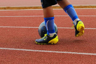 九游sports-中国青少年篮球运动员身体机能发展研究，我国篮球青少年运动发展现状