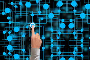 九游娱乐官网 (jiuyou)-冬奥会遗产利用与社会价值实现研究，冬奥会遗产战略计划