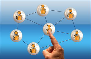 九游网页版官网-新兴体育项目普及路径调研,新兴体育项目普及路径调研方案