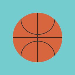 九游官网pc-篮球运动信息化管理平台设计与应用，篮球信息app