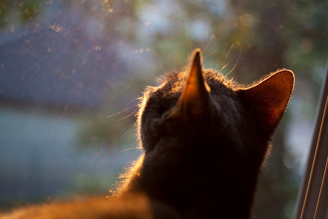 JIUYOU.COM-湖滨赛事启幕，兴隆湖成全民焦点，英菲尼迪换防冻液