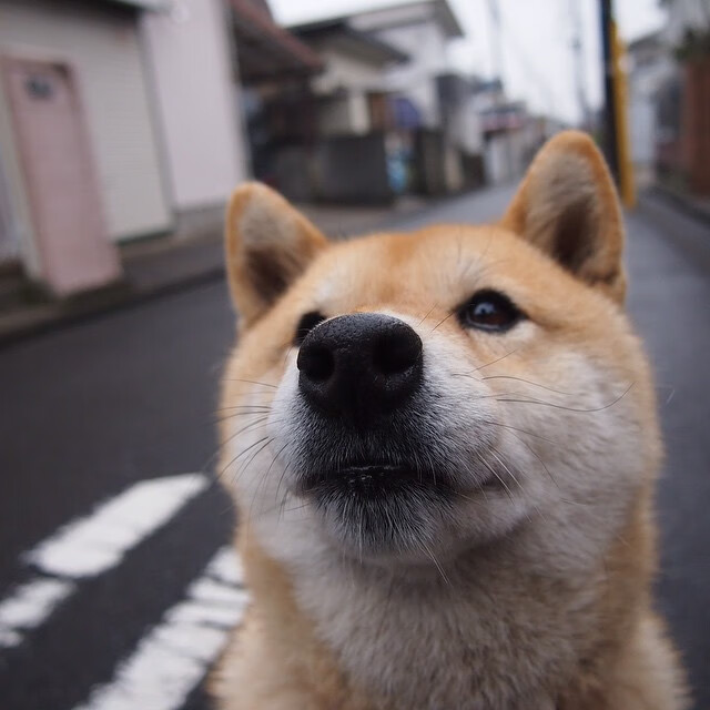 -女子英格兰队世界排名持续上升，英格兰输球后,英国女性行动起来了