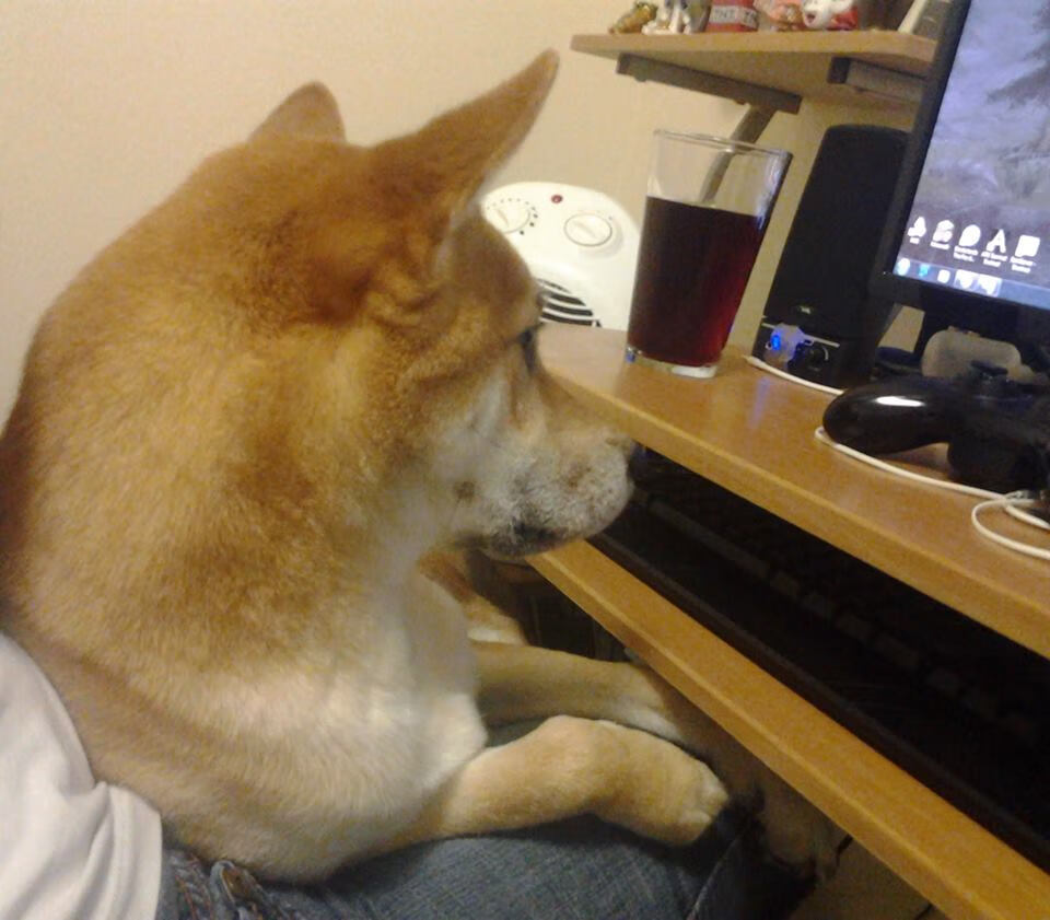 九游app官网下载-英国队用坚韧与速度征服赛场，英国队比赛