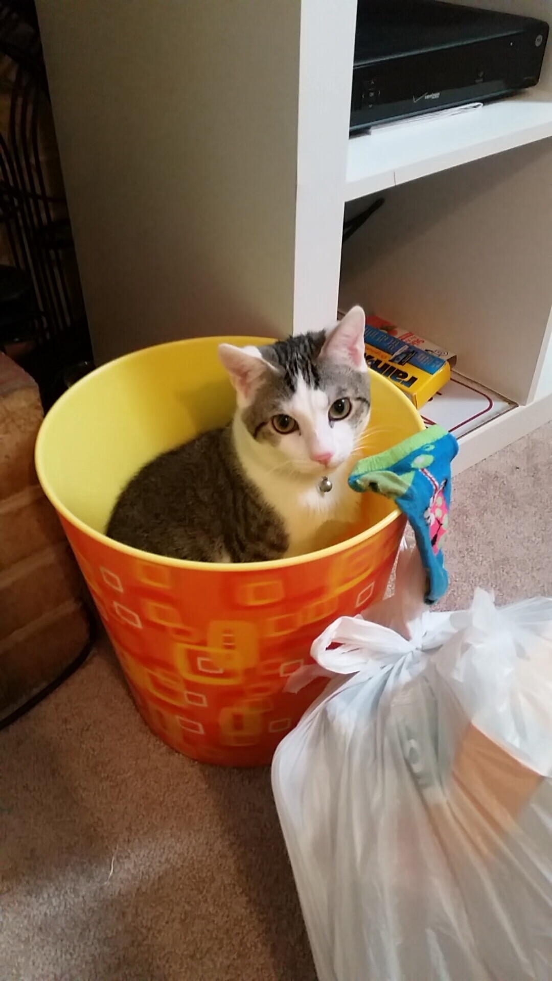 九游登录中心-黄蜂球员合力设计更衣室标语鼓舞全队士气，nba黄蜂主场球衣